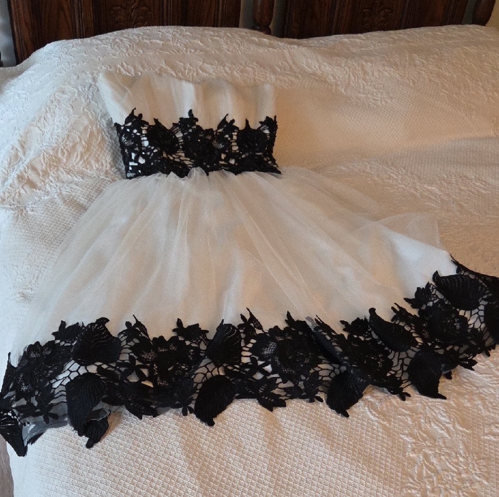 Elegant White Dress with Black Lace